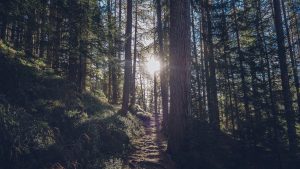 Outside in Nature With Tiny Home Living